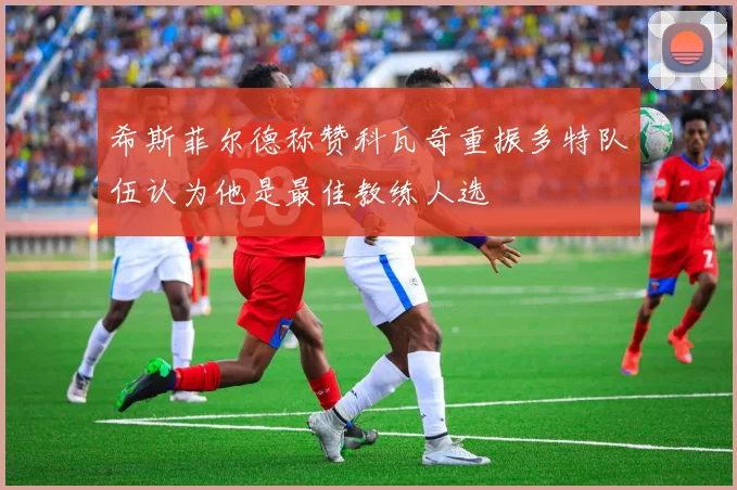 希斯菲尔德称赞科瓦奇重振多特队伍认为他是最佳教练人选