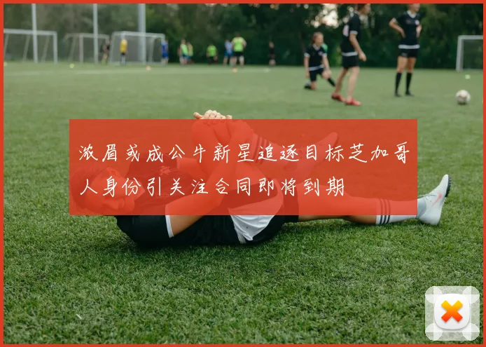 浓眉或成公牛新星追逐目标芝加哥人身份引关注合同即将到期