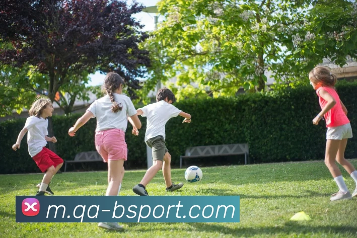 B体育APP 封面图